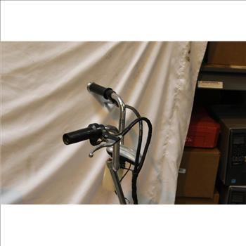 E-guruma Electric Bike