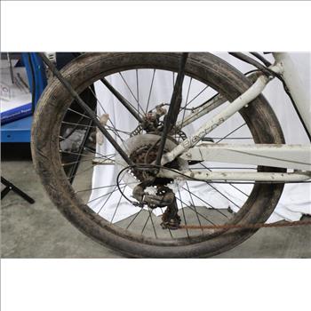 Electra Townie Go! E-Bike