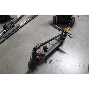 Electric Push Scooter