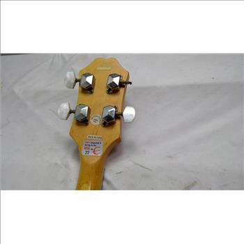 Epiphone Remo Weatherking Banjo