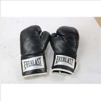 Everlast Boxing Gloves
