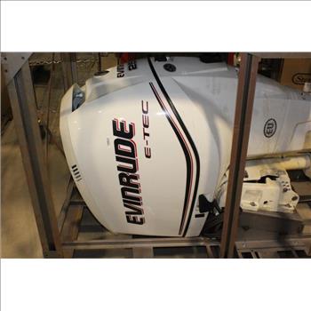 Evinrude E-Tec 250 Boat Motor