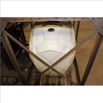 Evinrude E-Tec 250 Boat Motor