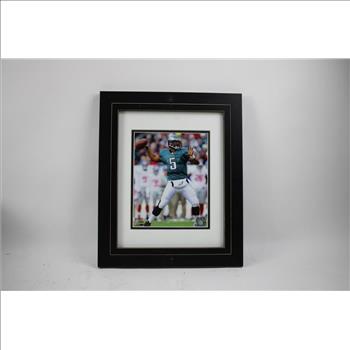 Framed 8x10 Photo Donovan McNabb
