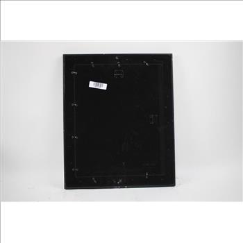 Framed 8x10 Photo Troy Polamalu