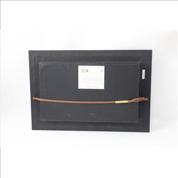 Framed South West Saudi Arabia Bedouin 