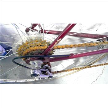 Free Spirit Road Bike