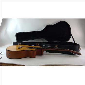 Fretlight Acoustic Guitar