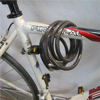 Fuji Finest-AL Road Bike