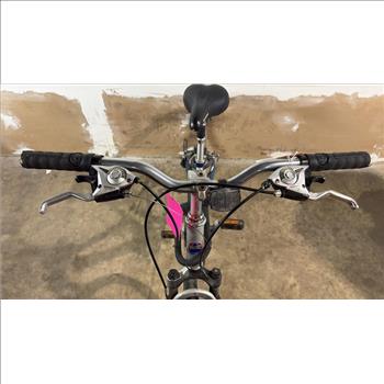 Fuji Mountain Bike