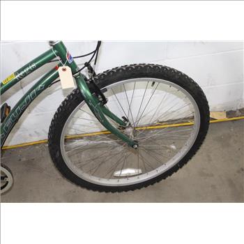 Fuji Regis Hybrid Bike