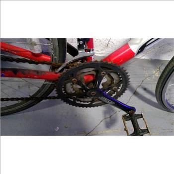 Fuji Road Bike