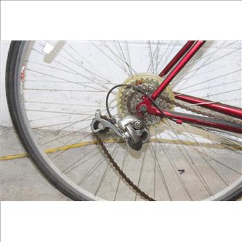 Fuji Supreme Road Bike