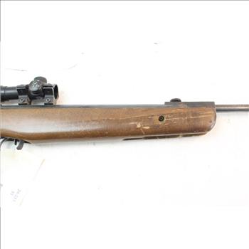 Gamo Hunter 220 .177 Caliber With BSA .22 Special Scope