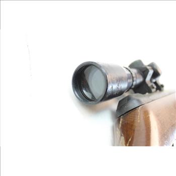 Gamo Hunter 220 .177 Caliber With BSA .22 Special Scope