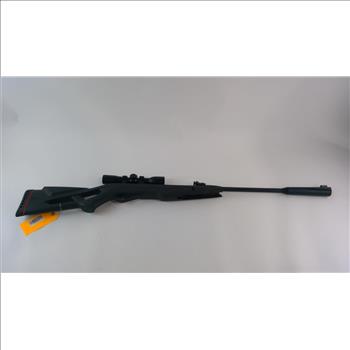Gamo Pellet Gun