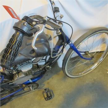 Gas Powered Bike