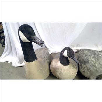 Geese Decoys
