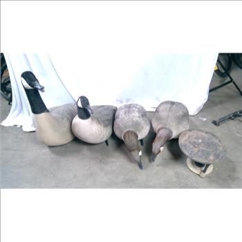 Geese Decoys