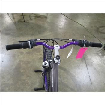 Genesis Mountain Bike