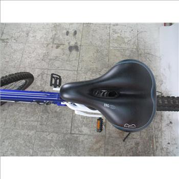 Genesis Mountain Bike