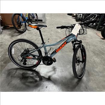 Giant 24 Inch XTC JR Mountain Bike