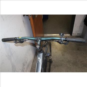 Giant Grey Mountain Bike