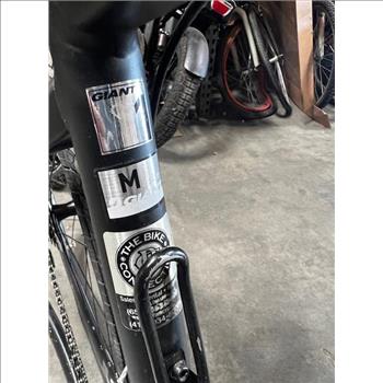 Giant Road-E Electric Bike