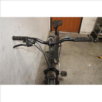 Giant Sedona DX Road Bike