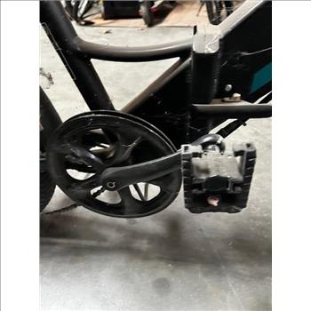 Go Trax Electric Bike