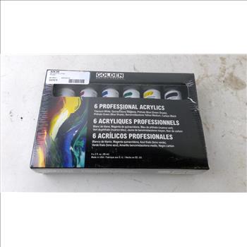 Golden Artist Colors 6 Professional Acrylics Set