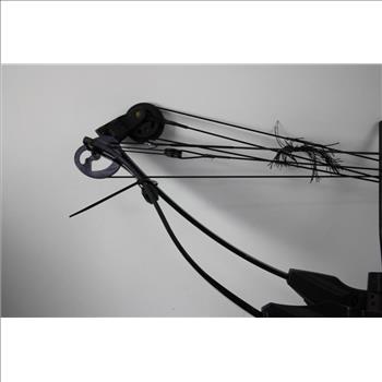 Golden Eagle,  Banshe Barnett 2 Bows,