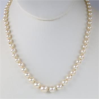 Graduated Pearl Necklace Sterling Silver Clasp
