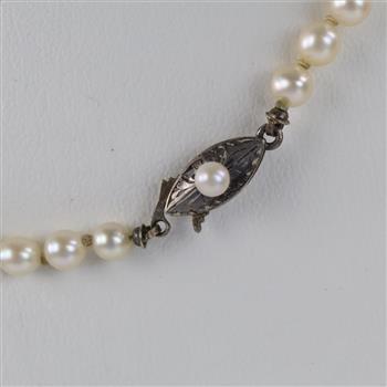 Graduated Pearl Necklace Sterling Silver Clasp