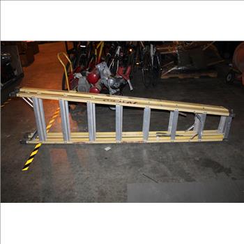 Green Bull Yellow Ladder