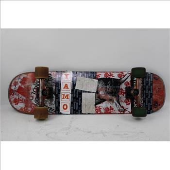 Green Folding Chair, Baseball Gloves, 31