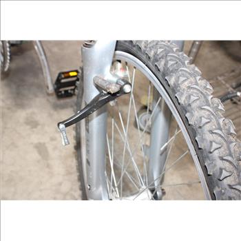 Grey Trek Mountain Bike