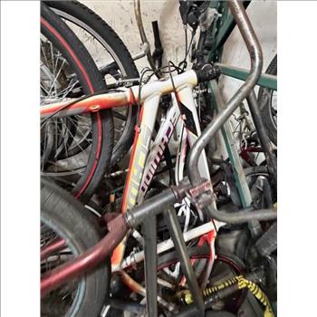 Group Of 10+ Used Bikes