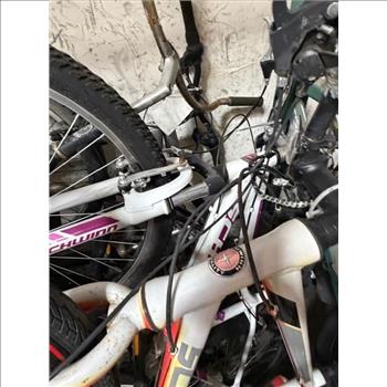 Group Of 10+ Used Bikes