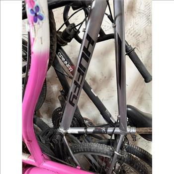 Group Of 10 Used Bikes