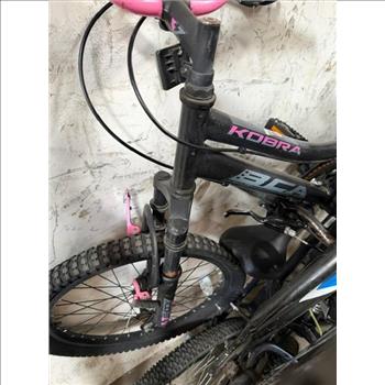 Group Of 10 Used Bikes