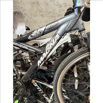 Group Of 10+ Used Bikes