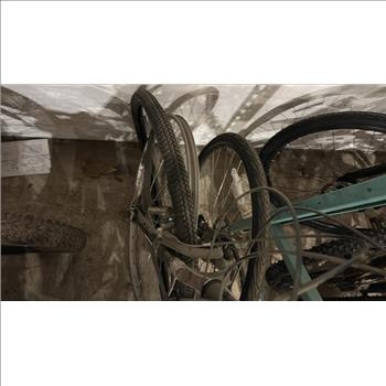 Group Of 10 Used Bikes