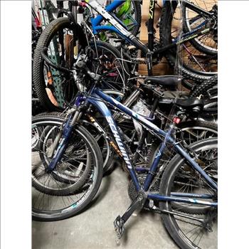 Group Of 10 Used Bikes