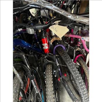 Group Of 10 Used Bikes