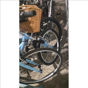 Group Of 10 Used Bikes