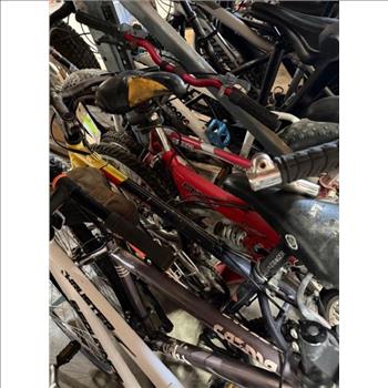 Group Of 11 Used Bikes