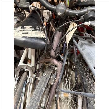 Group Of 11 Used Bikes