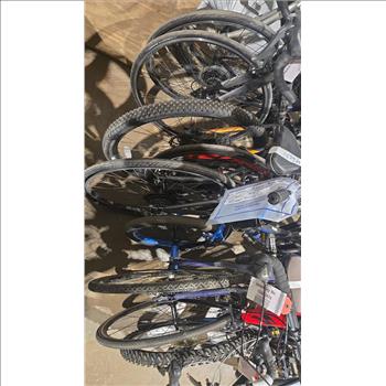 Group Of 11 Used Bikes