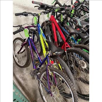 Group Of 12 Used Bikes